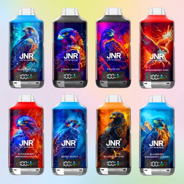 JNR Falcon-X 18000 Puffs - JNR Nederland JNR Falcon-X 18000 Puffs - JNR Nederland